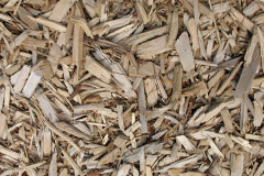 biomass boilers Dods Leigh